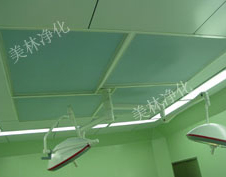 阻漏天花